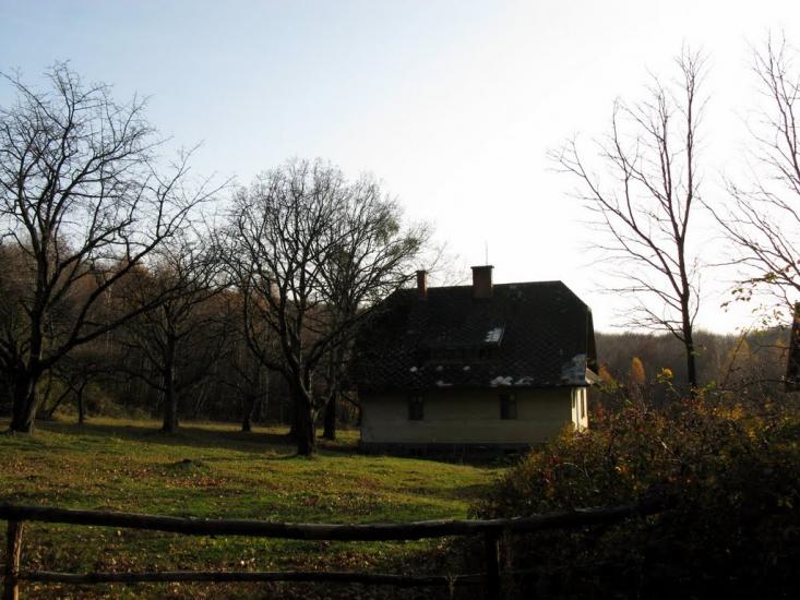 Кам'яниця з panoramio.com - Кам'яниця