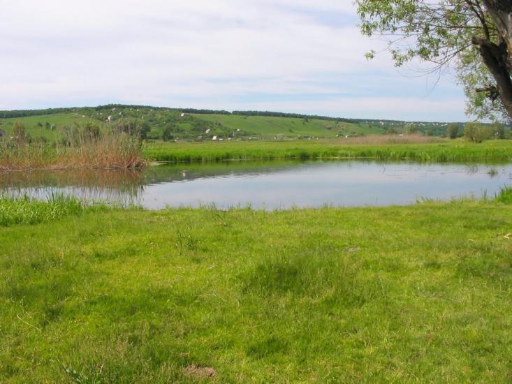 Циркуни з panoramio.com - Циркуни