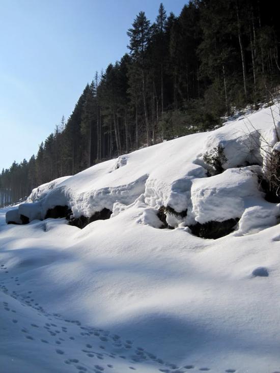 Нижня Рожанка з panoramio.com - Нижняя Рожанка