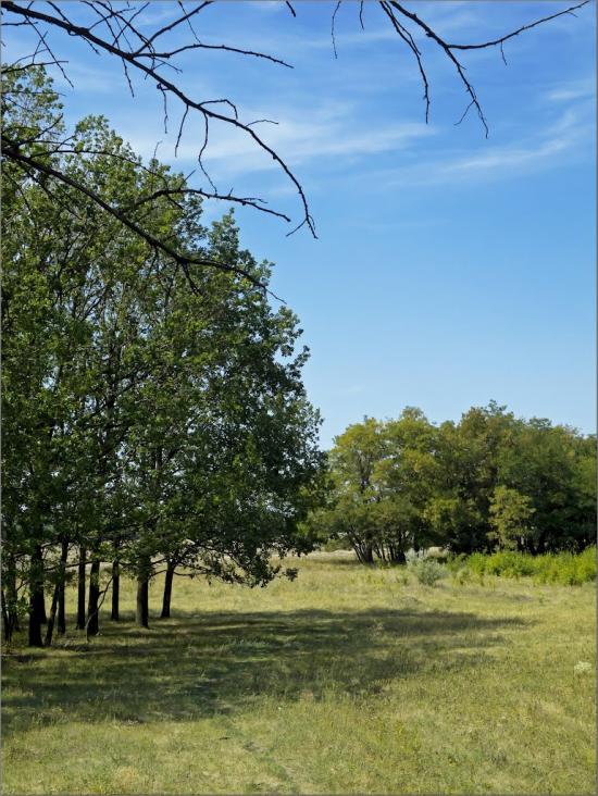 Глеюватка з panoramio.com - Глееватка