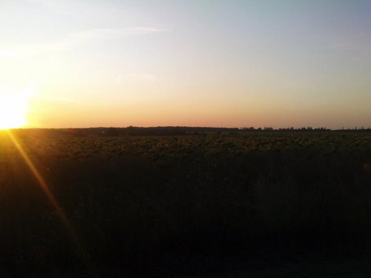 Тишківка з panoramio.com - Тишківка