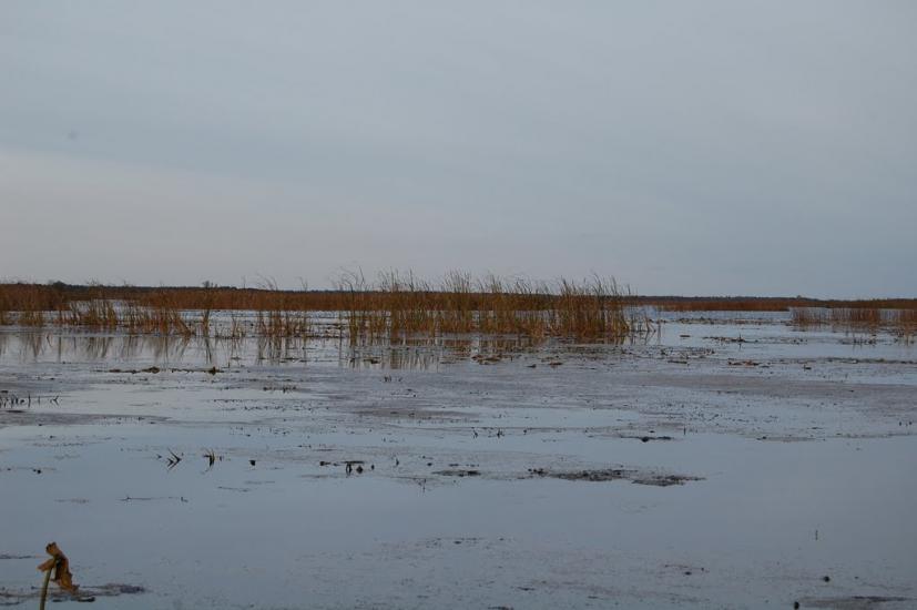 Щитинська Воля з panoramio.com - Щитинська Воля