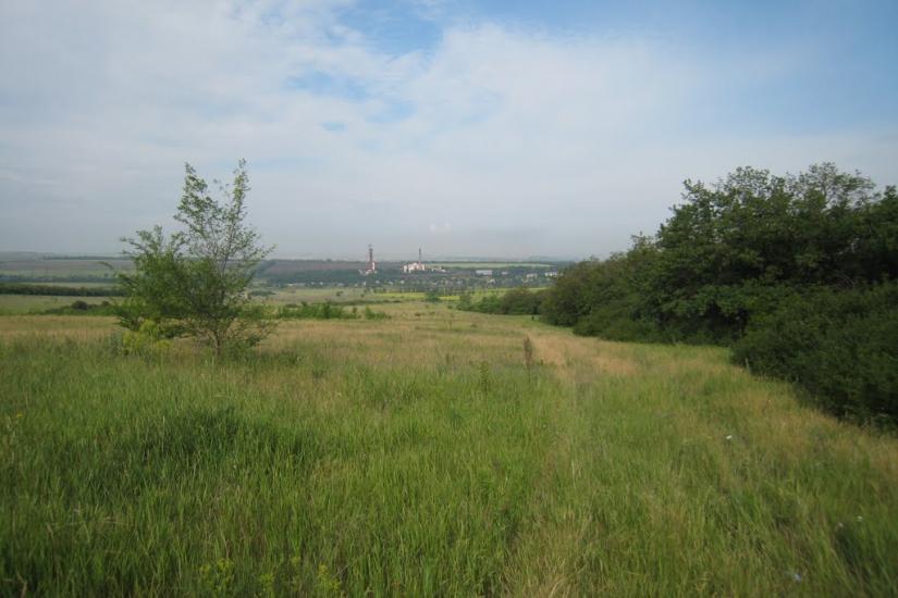 Збірне з panoramio.com - Збірне