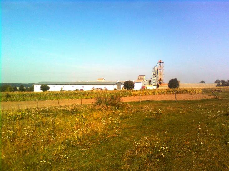 Бережани з panoramio.com - Бережани