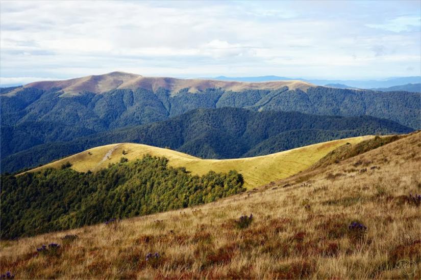 Мерешор з panoramio.com - Мерешор