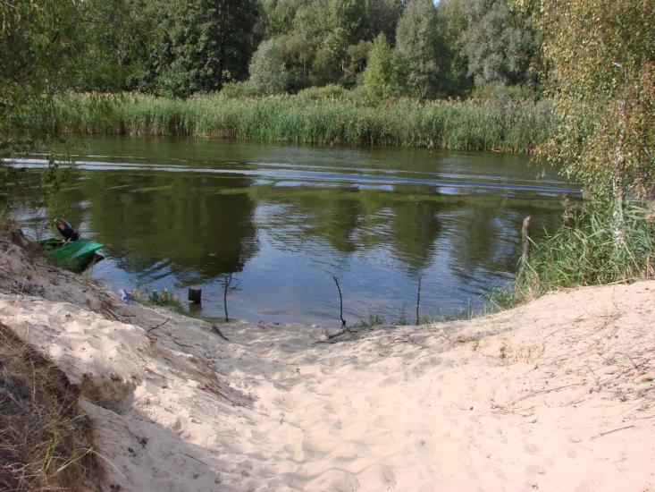 Сорокошичі з panoramio.com - Сорокошичи