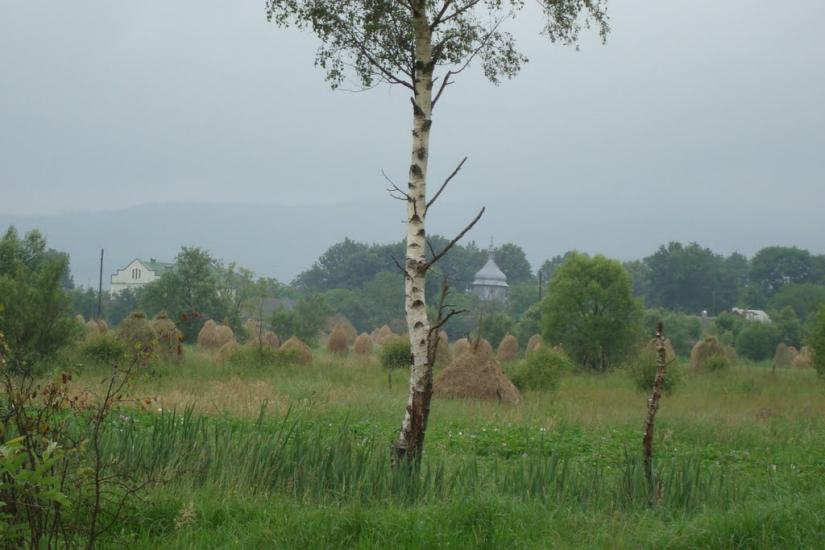 Ценява з panoramio.com - Ценява