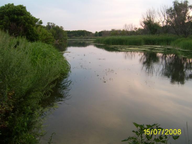 Шульгинка з panoramio.com - Шульгинка