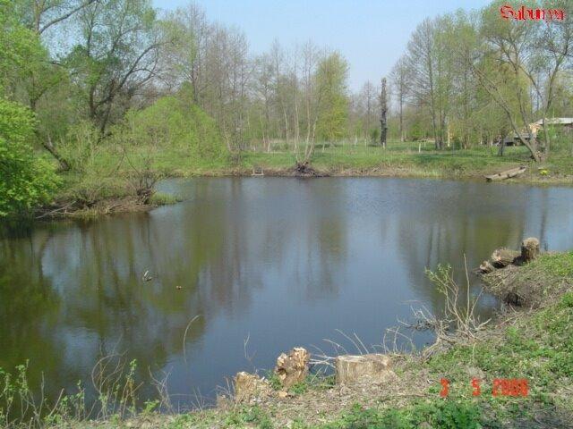 Конопелька з panoramio.com - Конопелька