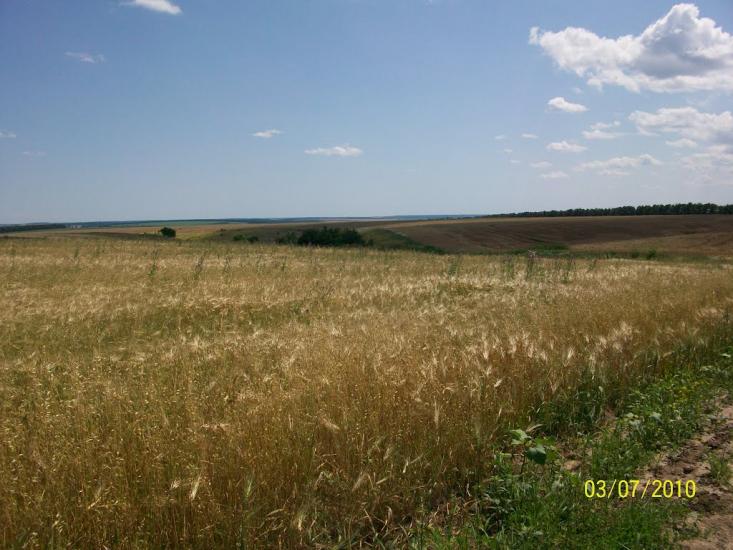 Михайлівка з panoramio.com - Михайлівка