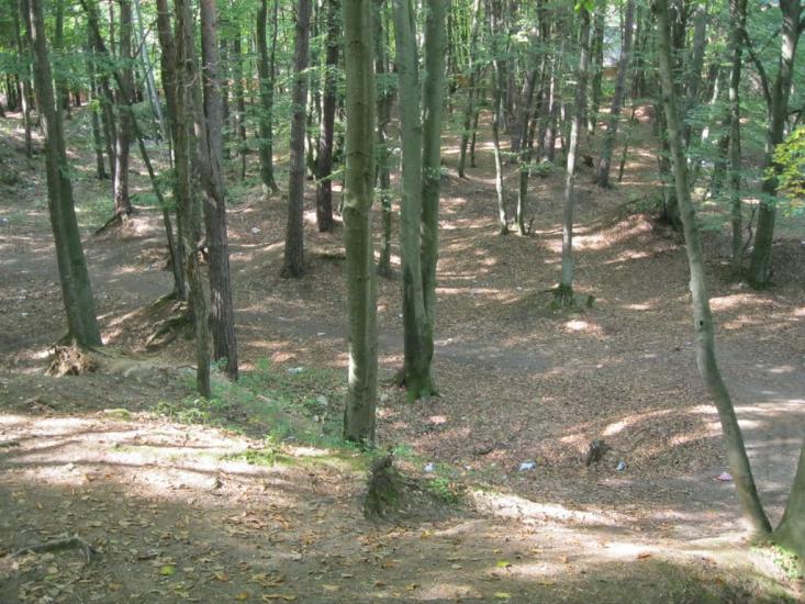 Брюховичі з panoramio.com - Bryukhovychi