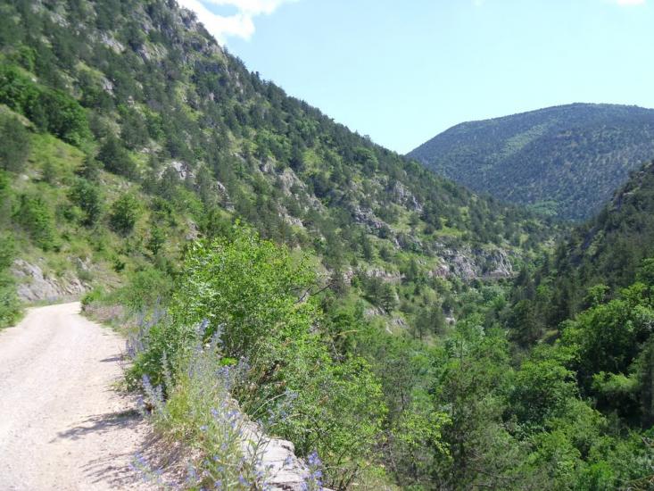 Родниківське з panoramio.com - Rodnykivske