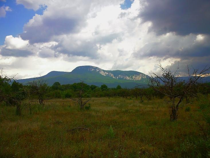 Аромат з panoramio.com - Аромат