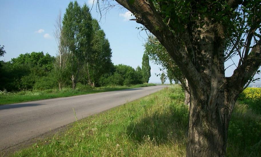 Доломітне з panoramio.com - Доломітне