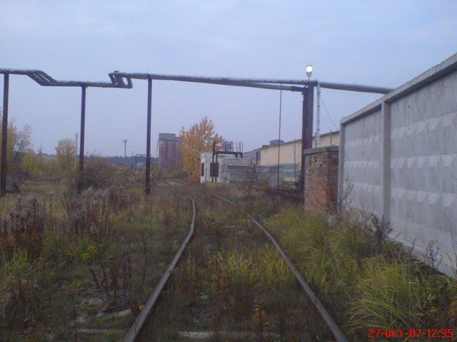 Старий Кривин з panoramio.com - Старий Кривин