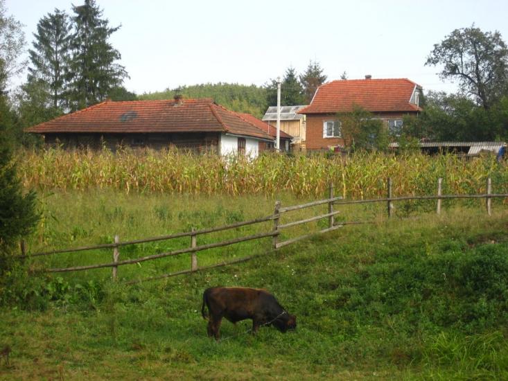 Пилипи з panoramio.com - Пилипи