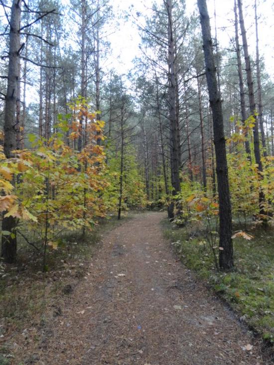 Дідовичі з panoramio.com - Дідовичі