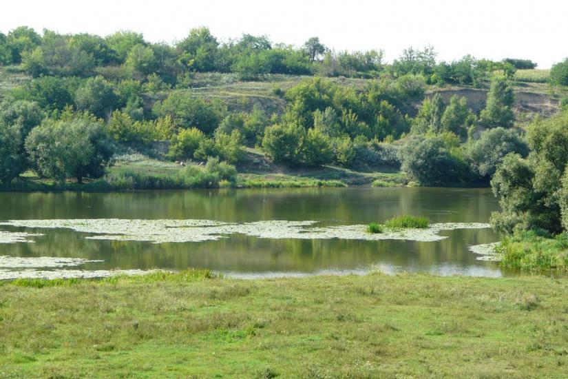 Мала Мечетня з panoramio.com - Малая Мечетня