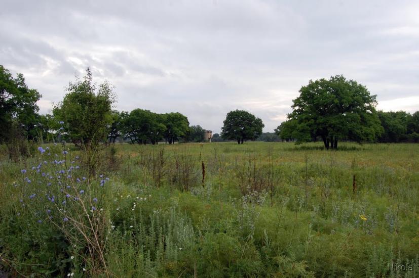 Нижнє з panoramio.com - Nyzhnye