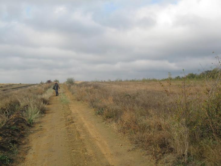 Будячки з panoramio.com - Будячки