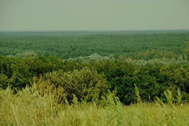 Верхній Салтів з panoramio.com - Верхній Салтів