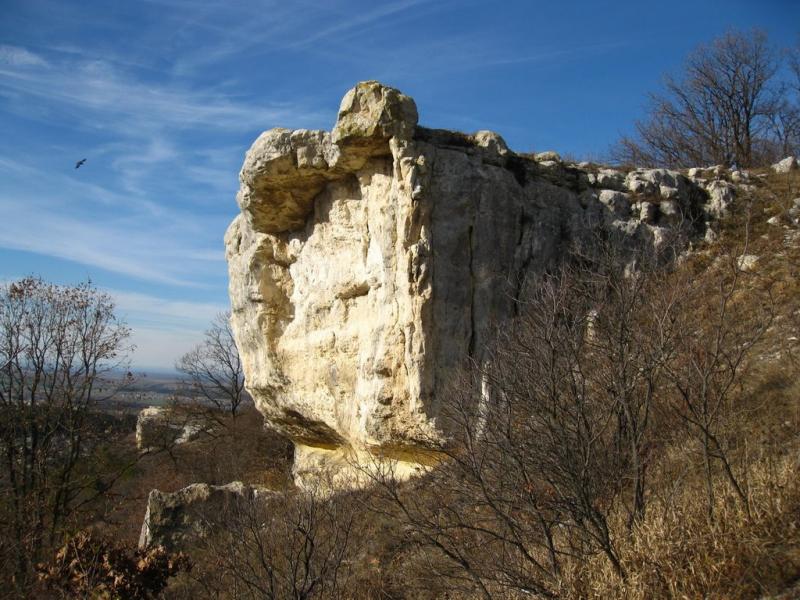 Залісся з panoramio.com - Залісся