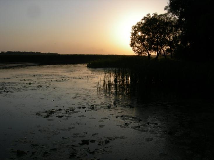 Миргороди з panoramio.com - Миргороды