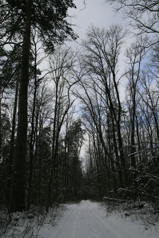 Стоянка з panoramio.com - Стоянка