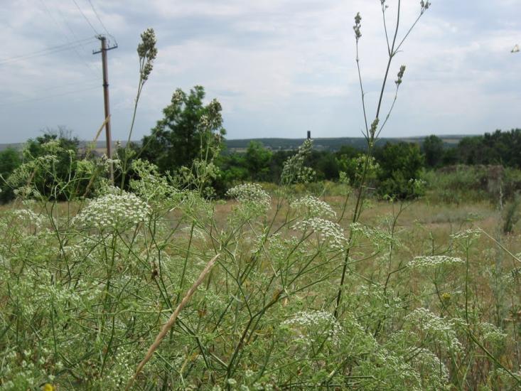 Успенка з panoramio.com - Успенка