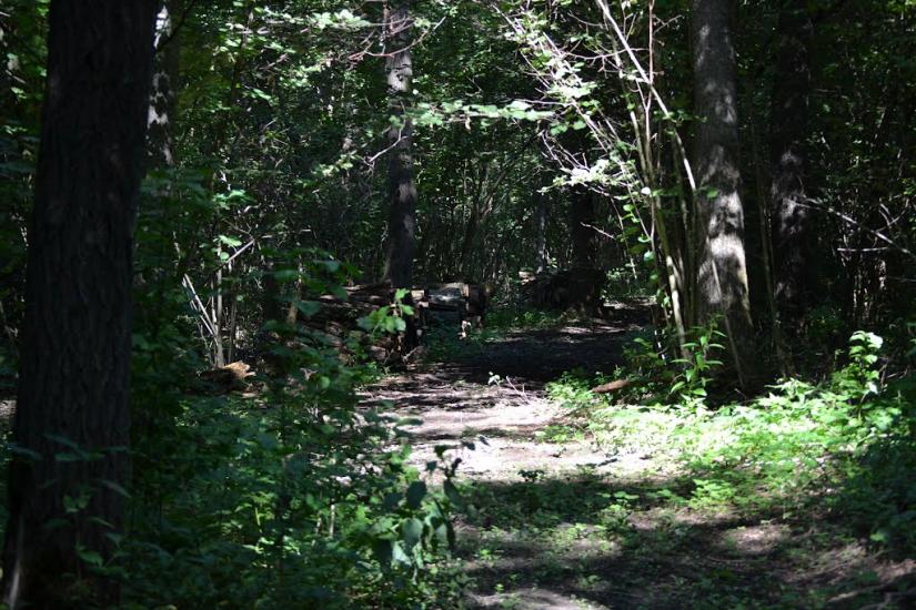 Грабовське з panoramio.com - Грабовское