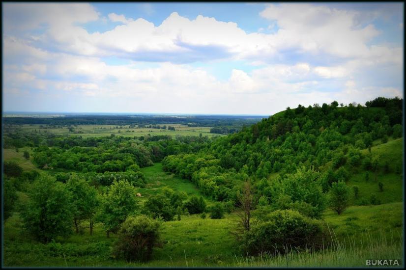 Михайлівка з panoramio.com - Михайлівка