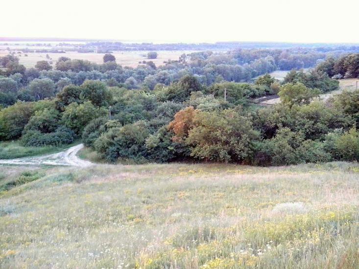 Велика Багачка з panoramio.com - Великая Багачка