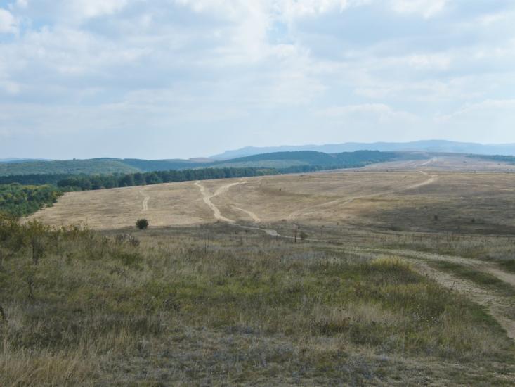 Дружне з panoramio.com - Дружне