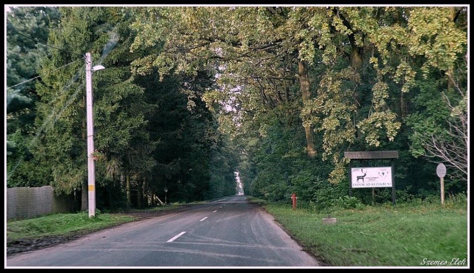 Бадалово з panoramio.com - Бадалово