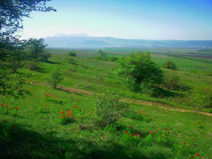 Лазарівка з panoramio.com - Лазарівка