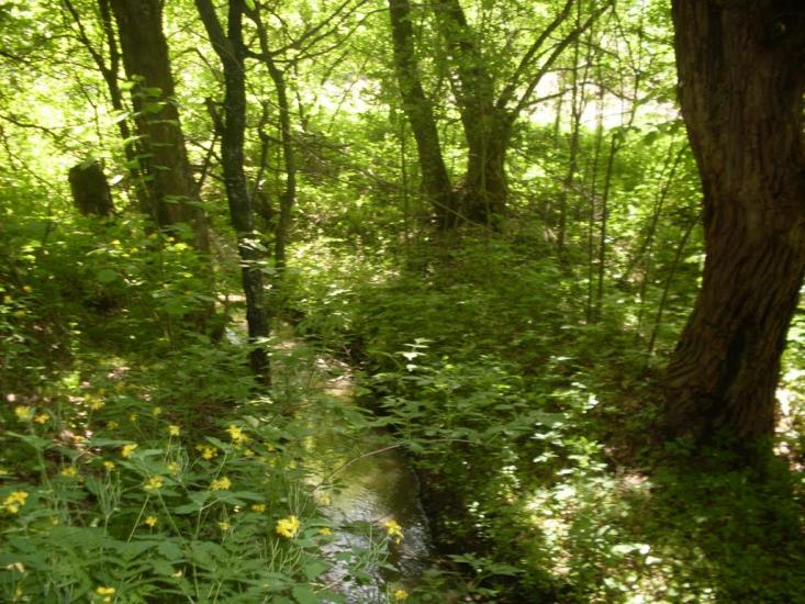 Млинки з panoramio.com - Млынки