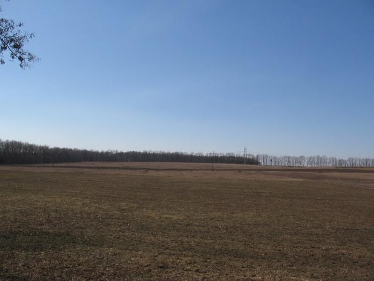 Малинівка з panoramio.com - Малиновка