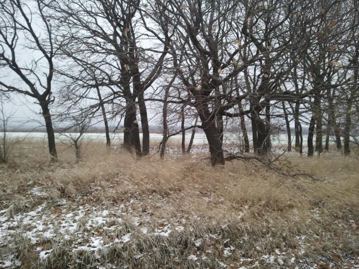 Миколаївка з panoramio.com - Миколаївка