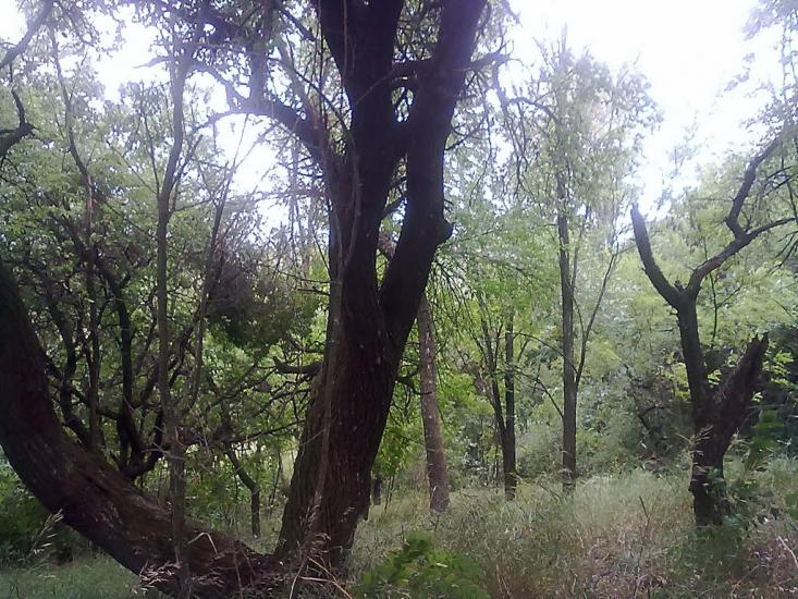 М'якеньківка з panoramio.com - М'якеньківка