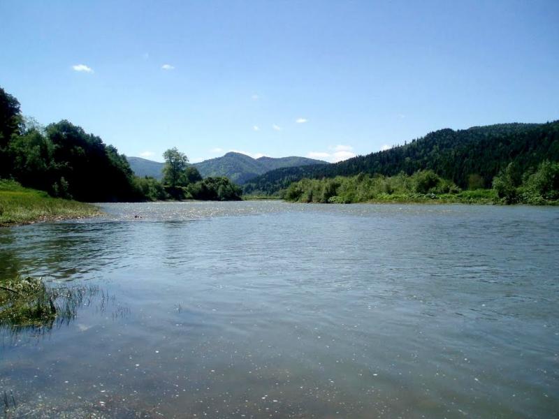 Рибник з panoramio.com - Rybnyk