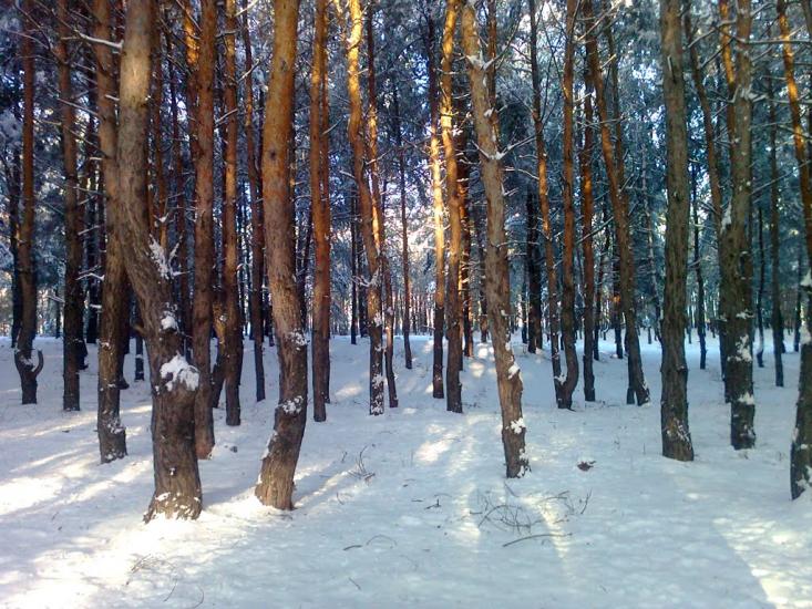 Борівське з panoramio.com - Боровское