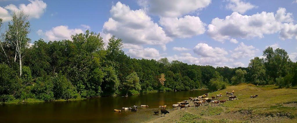 Юрки з panoramio.com - Юрки