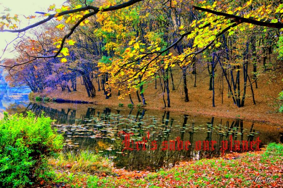 Новосілки з panoramio.com - Новоселки