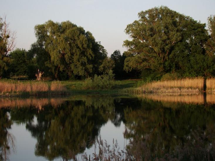 Жовтневе з panoramio.com - Жовтневое