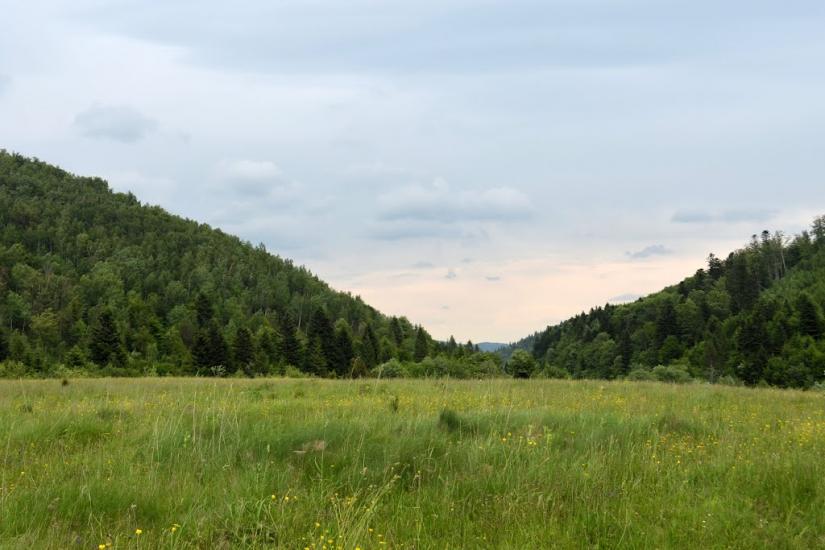 Крушельниця з panoramio.com - Крушельница
