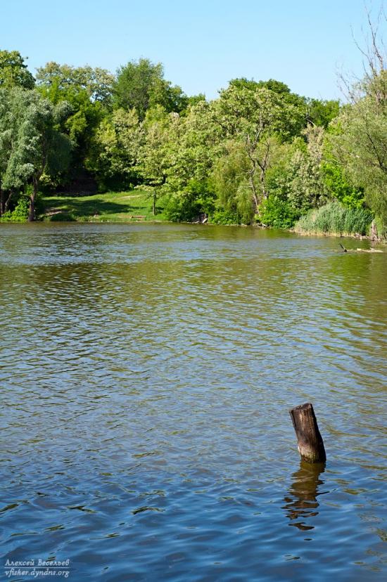 Сурсько-Литовське з panoramio.com - Сурско-Литовское