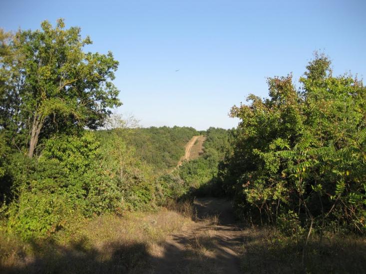 Дачне з panoramio.com - Дачное