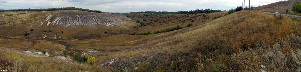 Крива Лука з panoramio.com - Кривая Лука