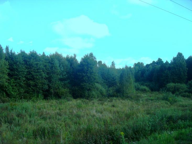 Рудня-Новенька з panoramio.com - Рудня-Новенька