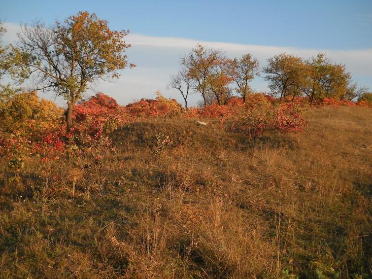 Левадки з panoramio.com - Левадки